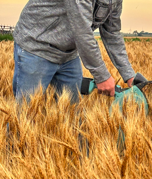 Adding harvest optimization value is the motto of the team at Bushel Plus, and having a Custom Harvester who can now harvest more acres per hour and get more grain in the bin is a huge benefit to their operation.